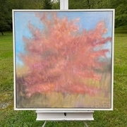 Cinnamon Oak
