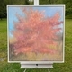 Cinnamon Oak